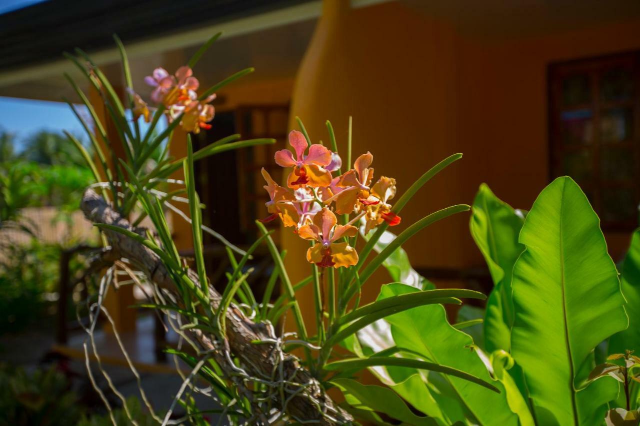 Chekesh Casa Hotel Đảo Đảo Siquijor Ngoại thất bức ảnh